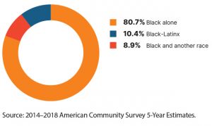Pie chart: 80.7%-Black alone / 10.4%-Black-Latinx / 8.9%-Black and another race