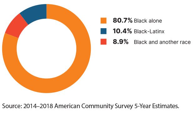 Pie chart: 80.7%-Black alone / 10.4%-Black-Latinx / 8.9%-Black and another race